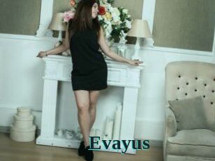 Evayus