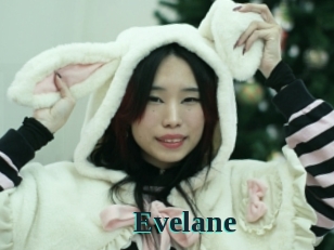 Evelane
