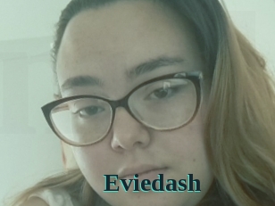 Eviedash