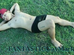 FANTASTICGayMark