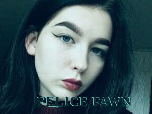FELICE_FAWN
