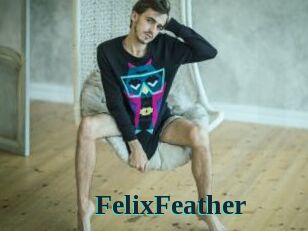 FelixFeather