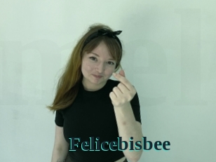 Felicebisbee