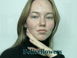 Feliceflowers