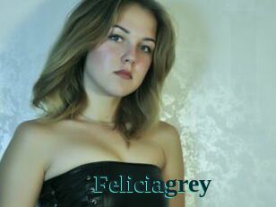 Feliciagrey