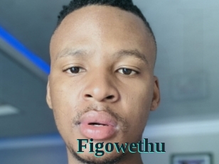 Figowethu