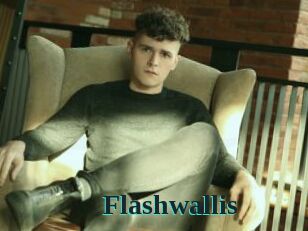 Flashwallis