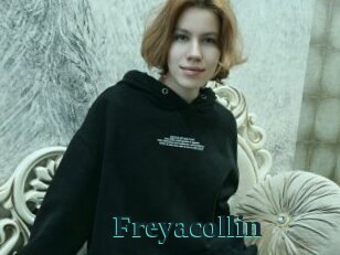 Freyacollin