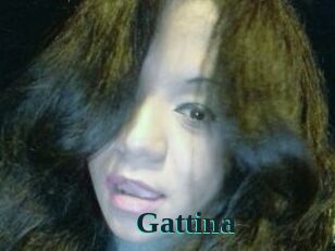 Gattina