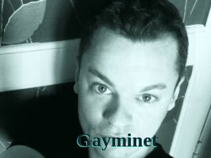 Gayminet