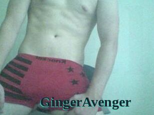 GingerAvenger