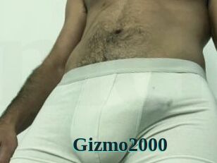 Gizmo2000