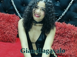 Gianellagavalo