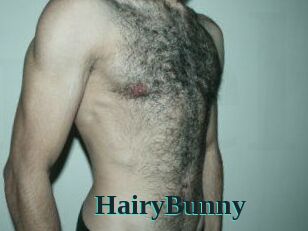 HairyBunny