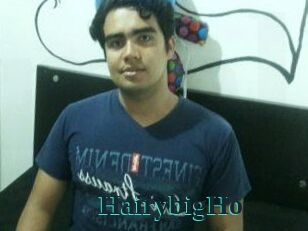 HairybigHo