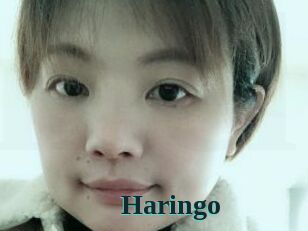 Haringo