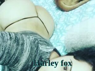 Harley_fox