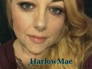 Harlow_Mae