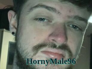 HornyMale96