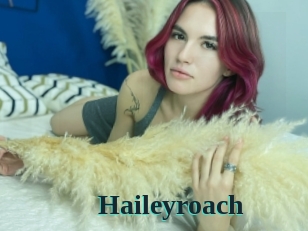 Haileyroach