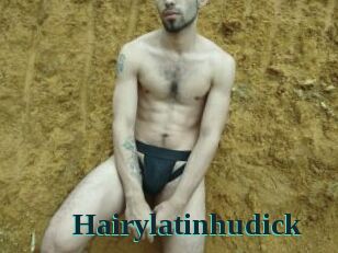 Hairylatinhudick