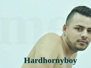 Hardhornyboy