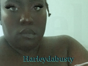 Harleydabusty