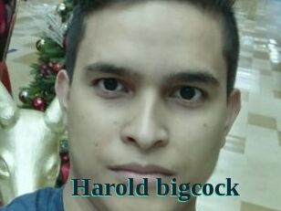 Harold_bigcock