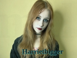 Harrietbigger