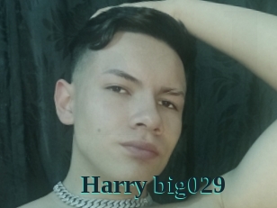 Harry_big029