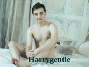 Harrygentle
