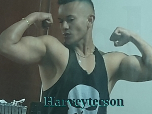 Harveytecson