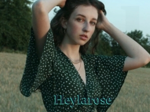 Heylarose