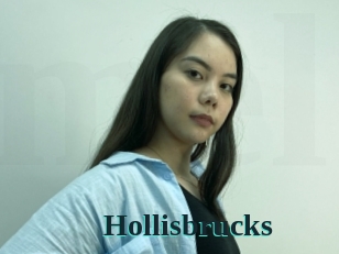 Hollisbrucks