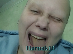 Hornak18