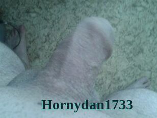 Hornydan1733