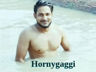 Hornygaggi