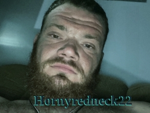 Hornyredneck22