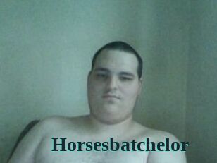 Horsesbatchelor