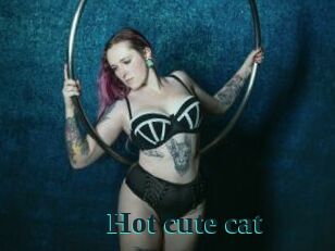 Hot_cute_cat