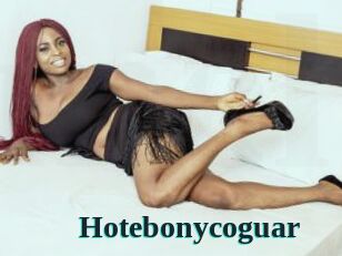 Hotebonycoguar