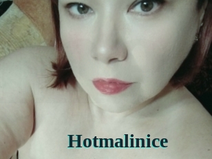 Hotmalinice