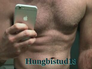 Hungbistud18