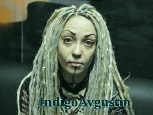 IndigoAvgustin