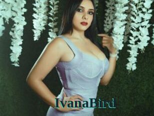 IvanaBird