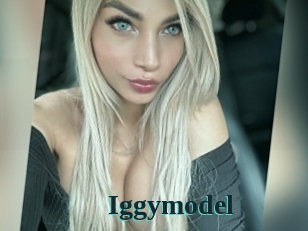 Iggymodel