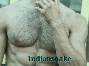 Indiansnake