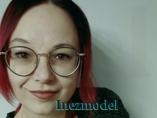Inezmodel