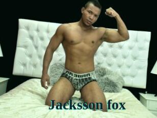 Jacksson_fox