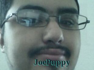 JoePuppy